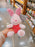 SHDL - 2026 Winnie the Pooh & Friends Original Color x Piglet Plush Toy