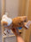 HKDL - 2026 Duffy's Sweet Dreams - Sleeping Duffy Plush Toy