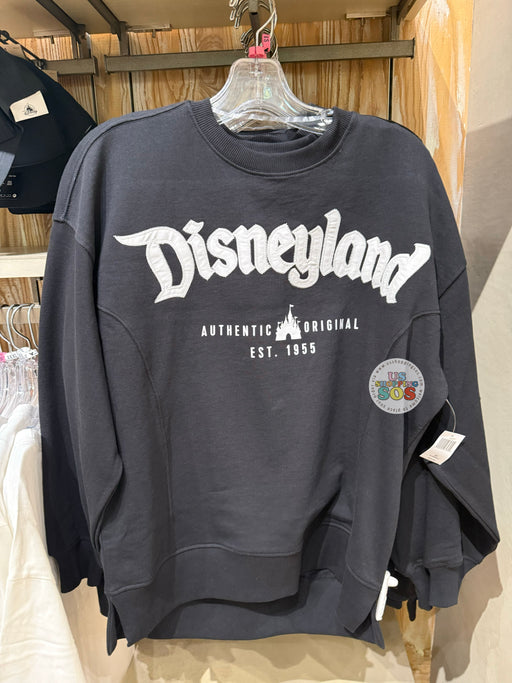 DLR/WDW - Park Logo Authentic Castle Original Black Pullover (Adult)