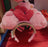 HKDL - Fluffy Lotso with Strawberry Ear Headband