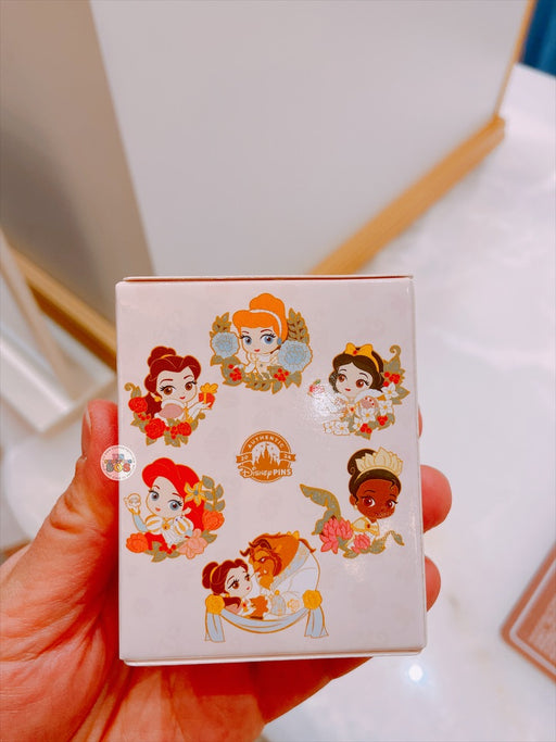 SHDL - Disney Winter Magic Cavalcade Princess Collection x Mystery Pin Box