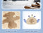 SHDS - 2026 Stitch & Friends Glacier Tribe Collection x Stitch Cushion (Release Date: Oct 31, 2026)
