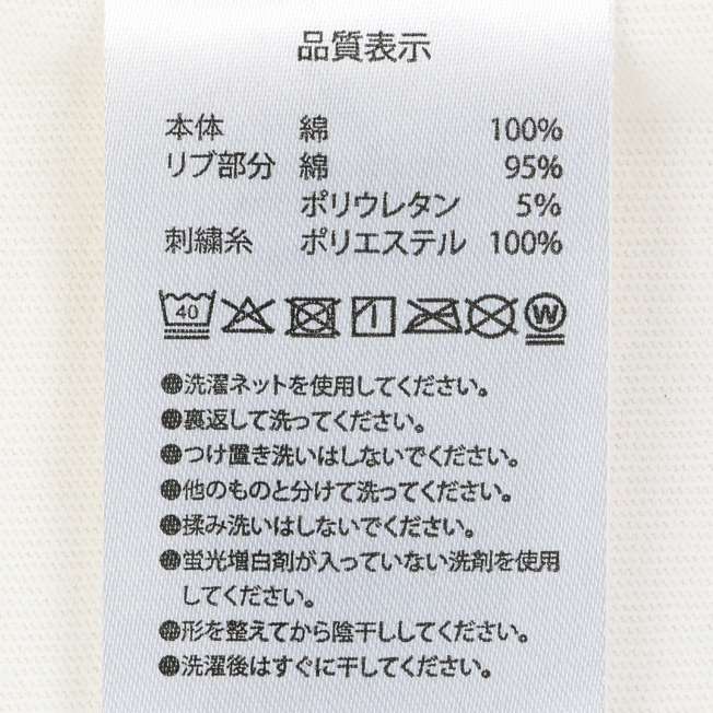 TDR - Tokyo Disney Resort "Where Dreams come True" Wordings with Different Attractions T Shirt for Adults (Release Date: May 22, 2025)