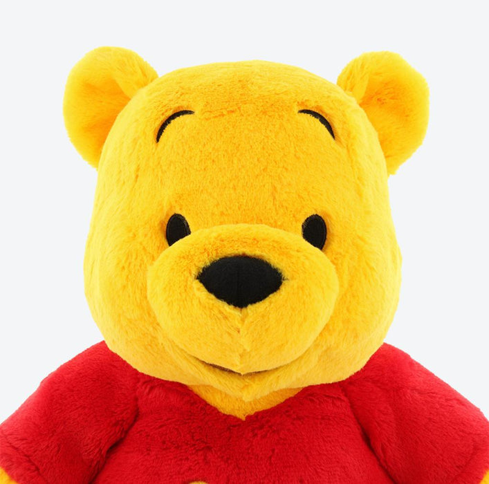 TDR - Fluffy Plush x Winnie the Pooh (Size: 39 cm)