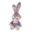 HKDL - 2026 StellaLou’s Wonderful Wishes Ballet Collection x Pink Ballet Tutu Plush Toy Costume