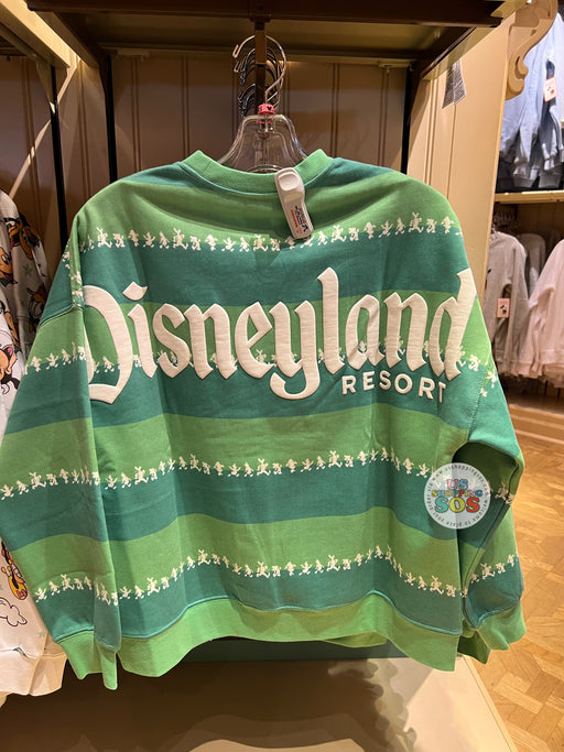 DLR - "Disneyland" Mickey & Friends Matching Green Stripes Pullover  (Adult)