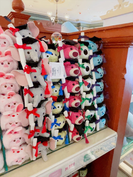 HKDL - Minnie Mouse Graduation Bouquet