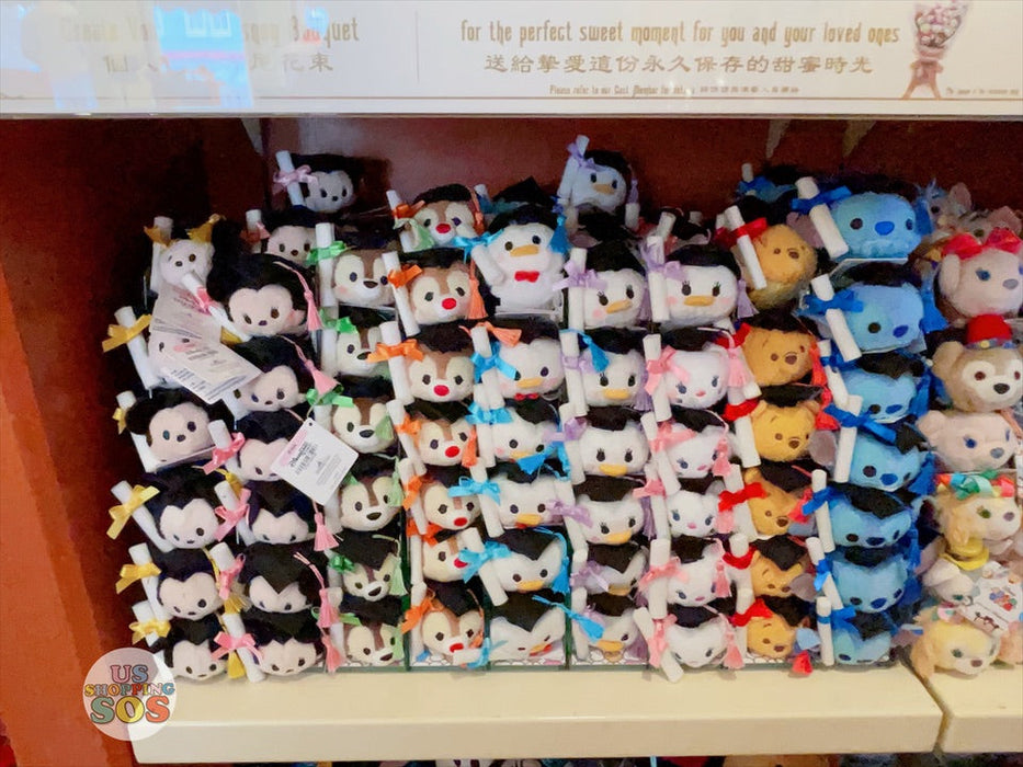 HKDL - Minnie Mouse Graduation Bouquet