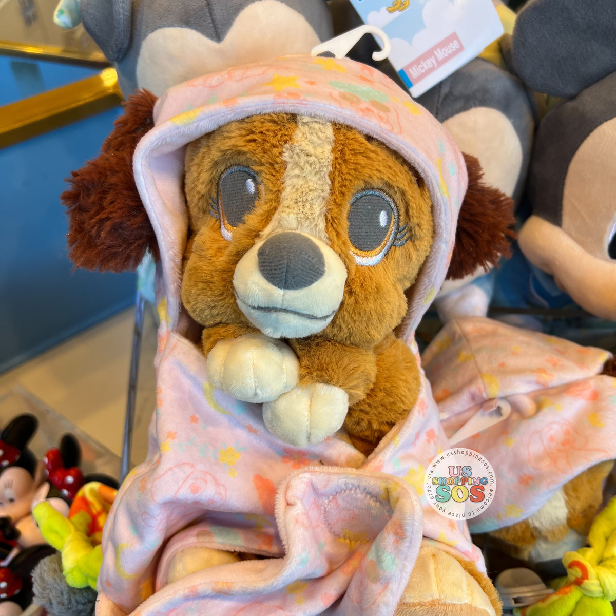 DLR/WDW Disney Babies in Hooded Blanket Plush Toy Lady