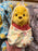 DLR/WDW - Disney Babies in Hooded Blanket Plush Toy - Winnie the Pooh