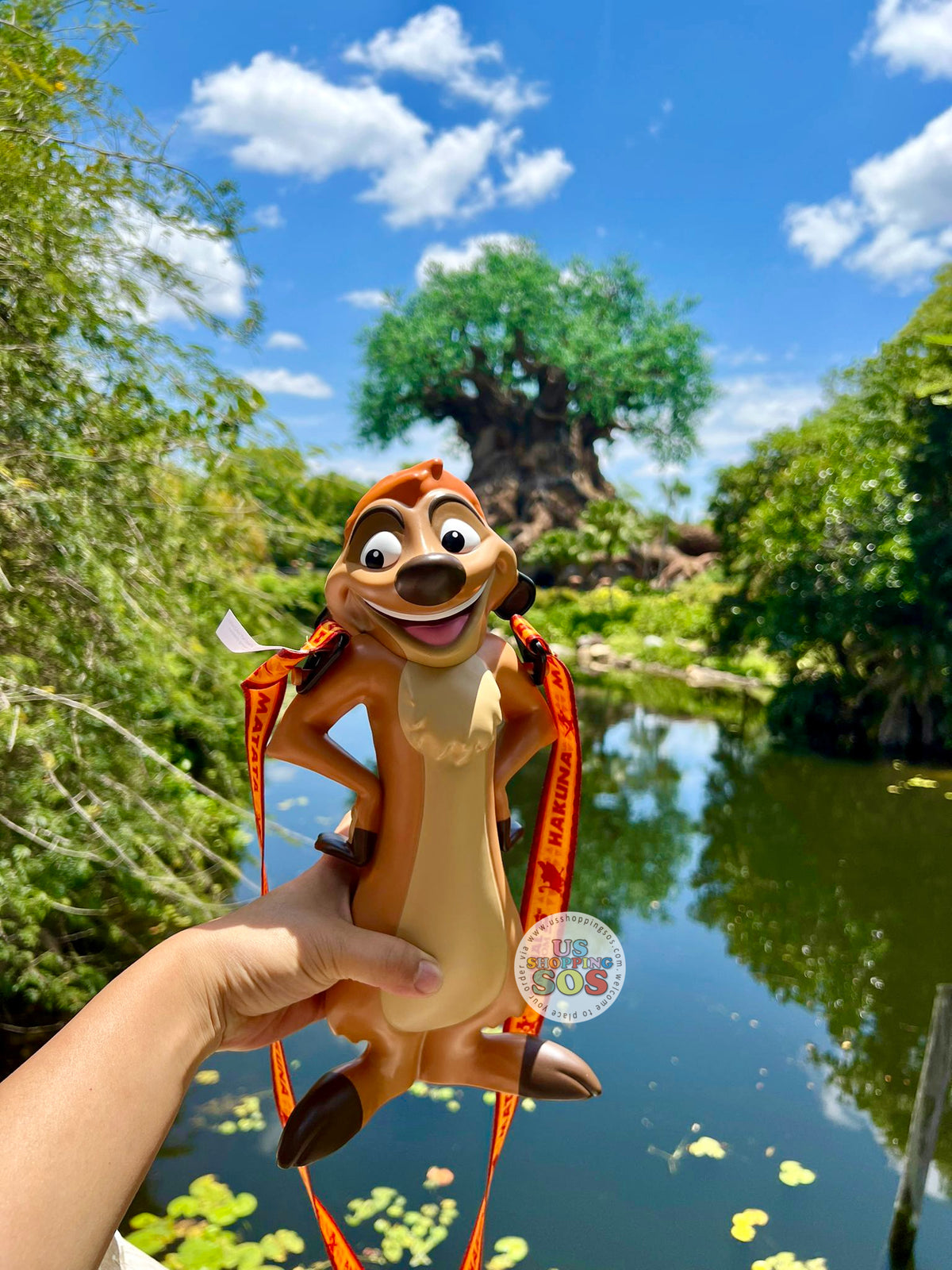 WDW限定 ライオンキング30周年 シンバ水筒 保冷カバー付 アニマル