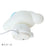 Japan Sanrio -Cinnamoroll Silicone Room Light (Sleepy Time)