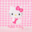 Japan Sanrio - Hello Kitty Clear Pouch