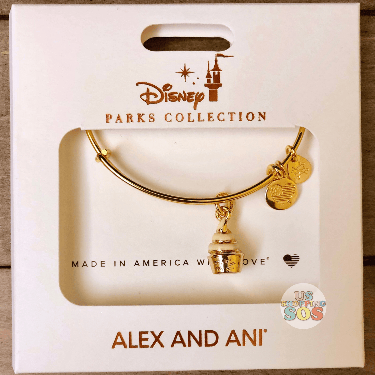 Disney passholder alex and 2025 ani