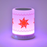 JDS - Tangled Rapunzel Bluetooth Speaker / LED Light Lantern