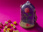 On Hand!!! TDR - Beauty and the Beast Rose Mini Candy Bucket