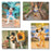 TDR - Mickey Mouse Pictures Set