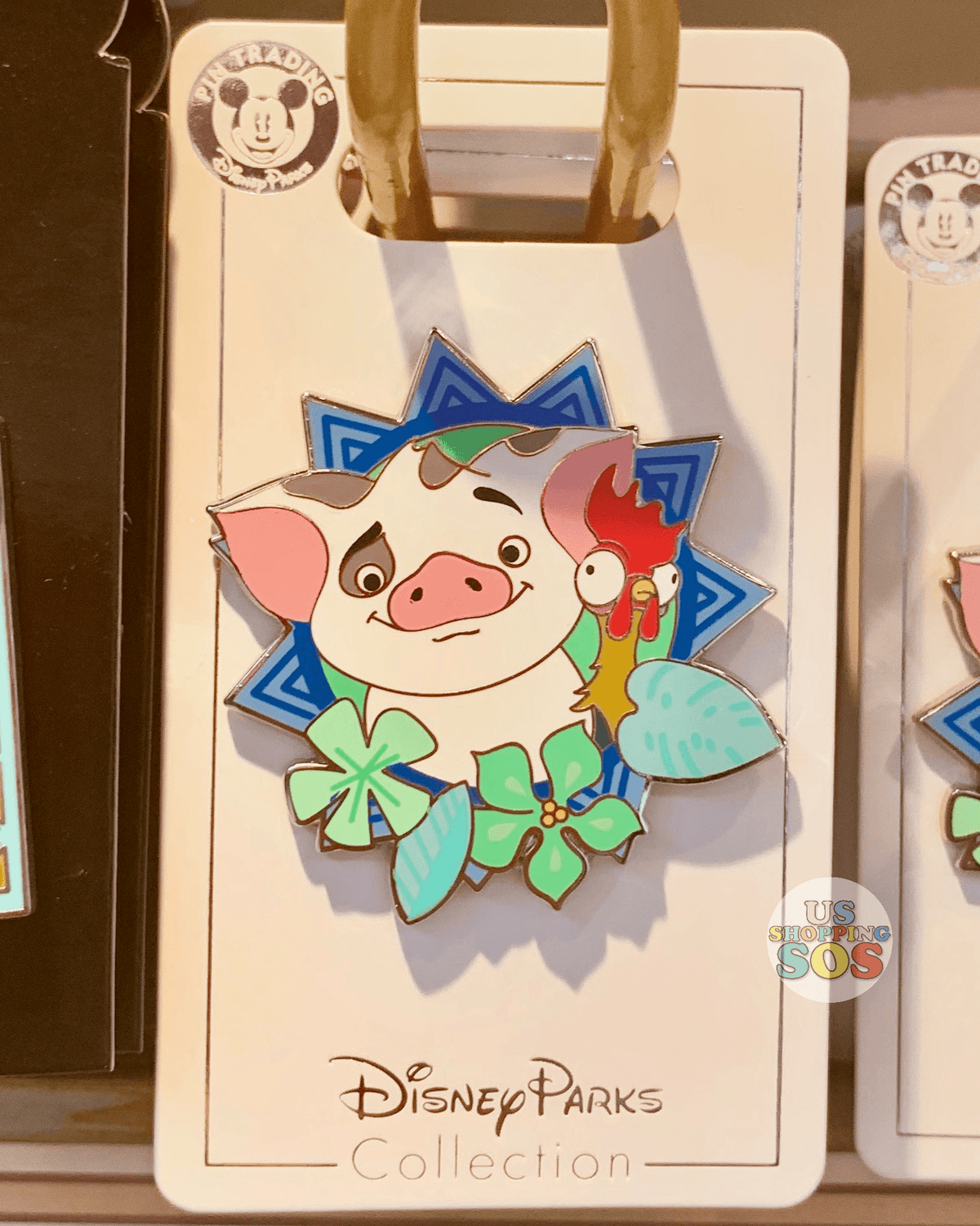 Pin em moana