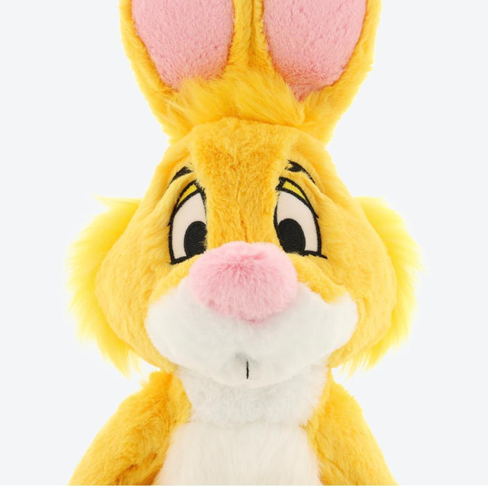 TDR - Fluffy Plushy Plush Toy x Winnie the Pooh Friends Rabbit
