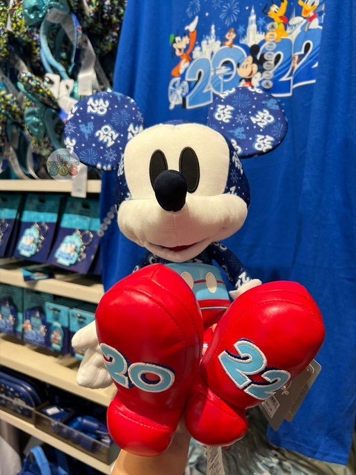 DLR - Disneyland 2022 - Mickey Mouse Plush Toy