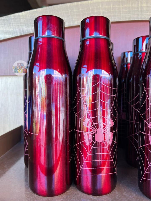 DLR - Stainless Steel Large Water Bottle - Spider Man