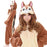 Japan Sazac - Disney Kigurumi Costume (Unisex) - Chip N Dale Clarice