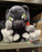 WDW - Big Feet Plush Toy - Viperwolf (Size M)
