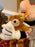 WDW - Steiff Minnie & Teddy Bear Plush Toy