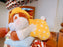SHDL - "Sweet Dreams Chip & Dale" x Sleeping Chip Plush Toy