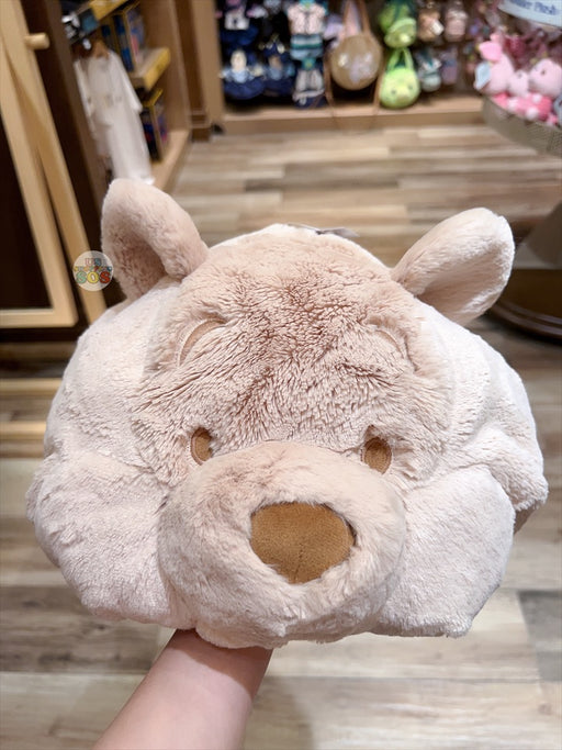 HKDL - Winnie the Pooh Big Face (Pastel Color) Fluffy Cap/Hat for Adults