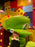 Universal Studios - Super Nintendo World - Luigi Plush Hat