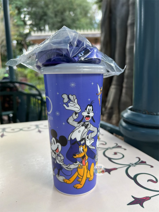 Disney Tumbler with Straw - 2019 Mickey and Friends - Disney World