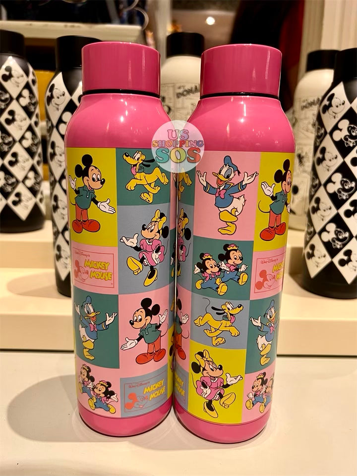 DLR - Vintage Mickey & Friends Colorful Stainless Steel Water Bottle —  USShoppingSOS