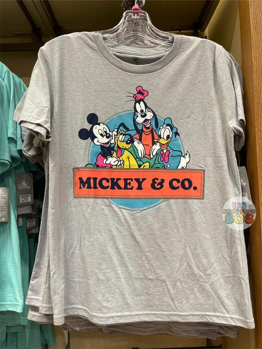 DLR - Mickey & Co Graphic T-shirt - Mickey & Friends Logo Grey (Adult)
