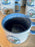 WDW - Epcot Remy’s Ratatouille Adventure - Remy Espresso Cup