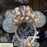 DLR - Minnie Crystal Sequin Ear Polka Dot Bow Headband