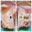 SHDL - Duffy & Friends Cozy Home - 2 Pillow Cases Set x Duffy & ShellieMay