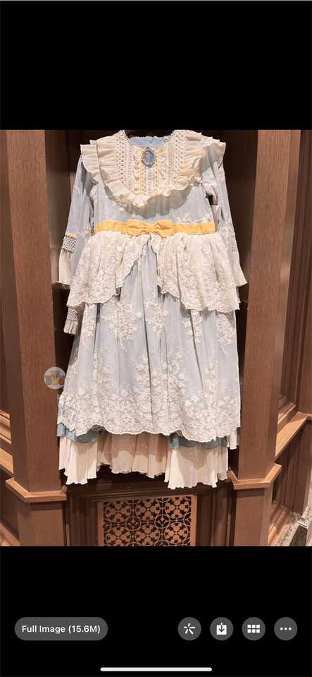 SHDL - Cinderella Dress for Adults