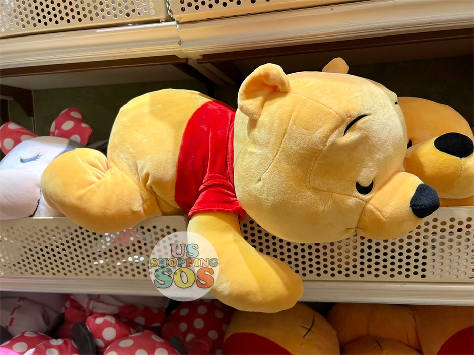DLR Cuddleez Plush Toy Winnie the Pooh