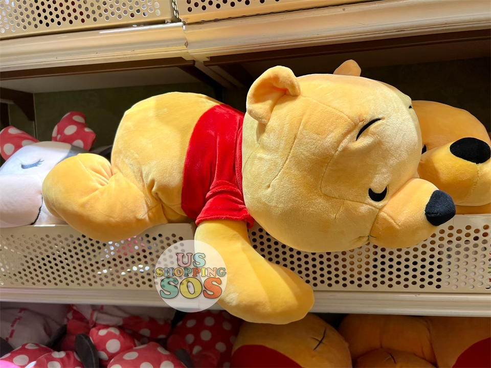 DLR - Cuddleez Plush Toy - Winnie the Pooh