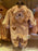 HKDL - Duffy Costume Romper for Baby