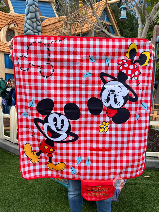 DLR - Mickey’s Toontown - Perfect Picnic Blanket