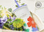 Starbucks China - Spring Blooming 2021 - Stainless Steel Cold Cup 590ml