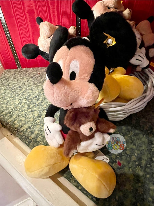 WDW - Steiff Mickey & Teddy Bear Plush Toy