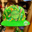DLR - “Enchanted Tiki Room Singing Academy” Baseball Cap (Adult) (Green)